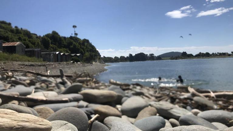 Beachbach16 -
