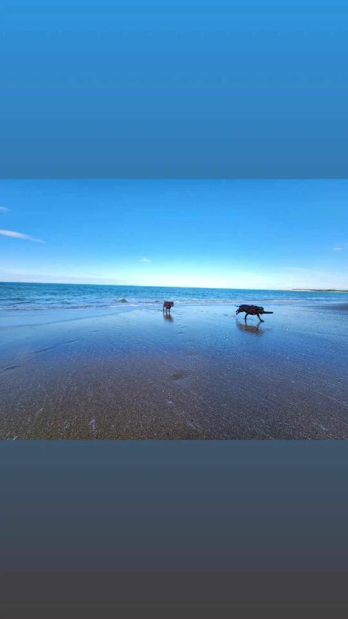 Beachbach16 - Holiday home