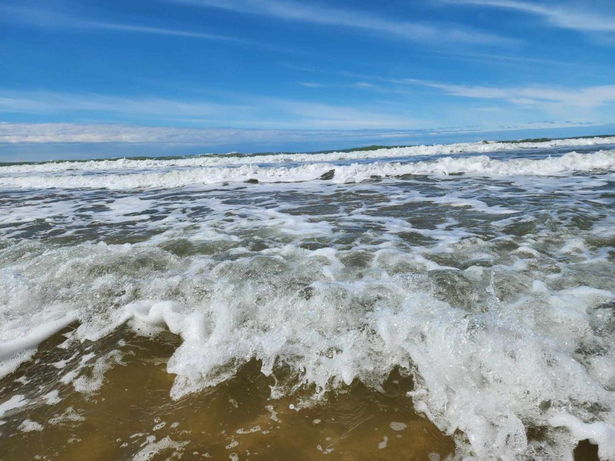 Beachbach16 - *